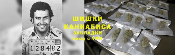 прущие грибы Протвино