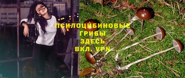 дживик Инсар
