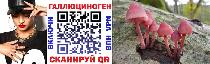 Галлюциногенные грибы GOLDEN TEACHER  где продают наркотики  Сосенский 